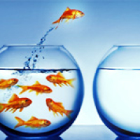 peixes