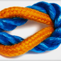 cordas