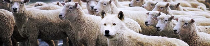 Lobos